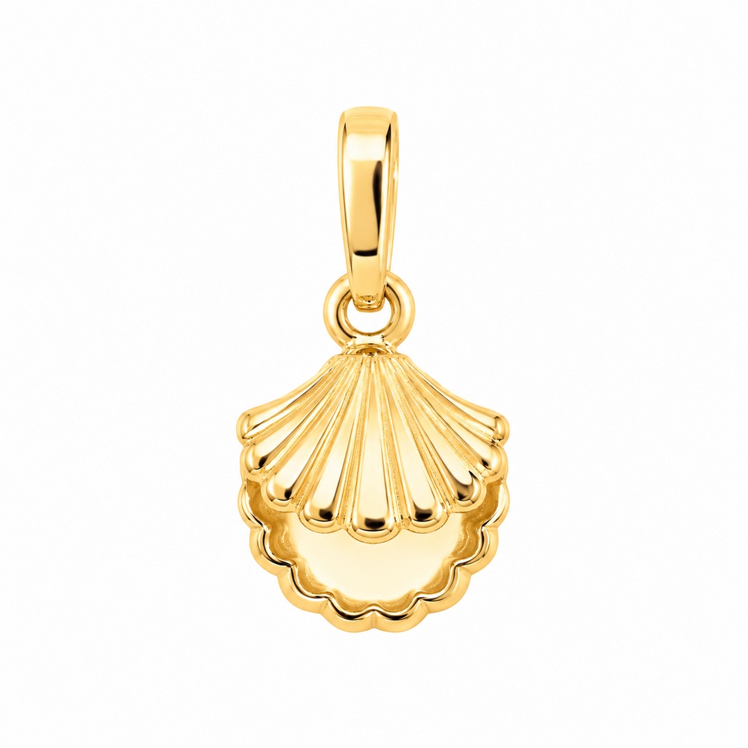 14K yellow gold shell pendant, front view