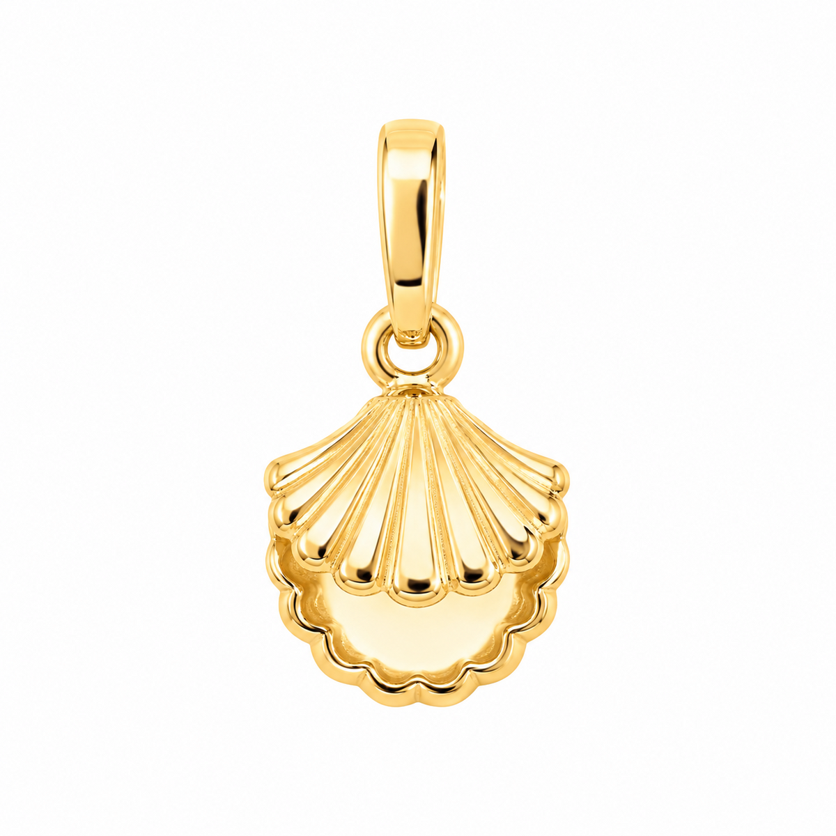 14K yellow gold shell pendant, front view