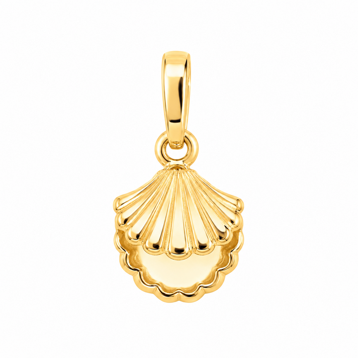 14K yellow gold shell pendant, front view